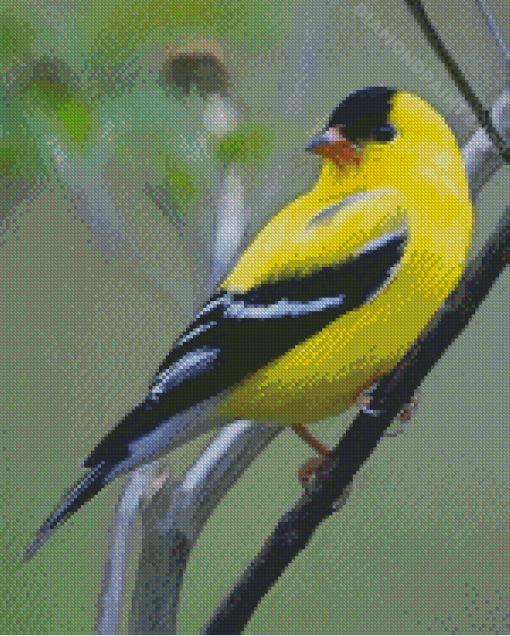 Yellow Finch Bird Diamond Painting