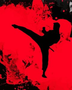 Aesthetic Taekwondo Diamond Painting
