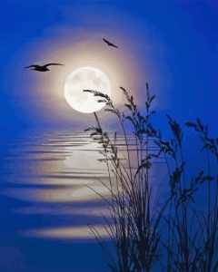 Cool Moon Light Diamond Painting