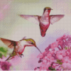 Flying Couple Hummingbird Diamond Painting