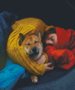 Girl Sleeping With Pet Diamond Painting