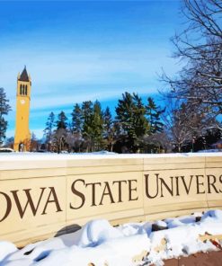 Iowa State University In Winter Diamond Painting