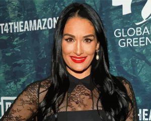 Nikki Bella Professional Wwe Diamond Painting
