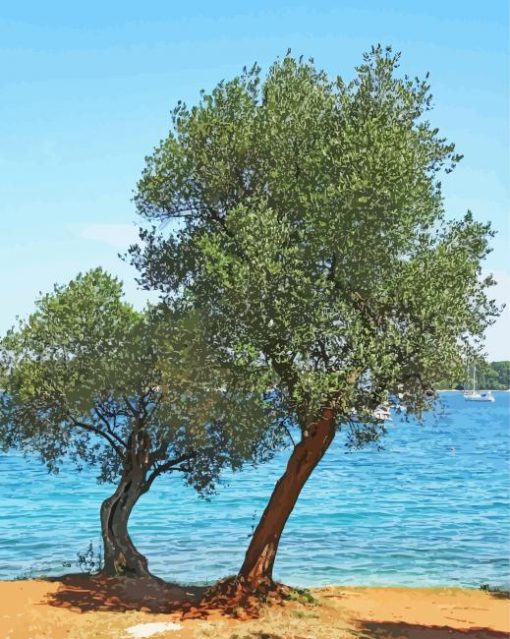 Olive Trees Lake Diamond Painting