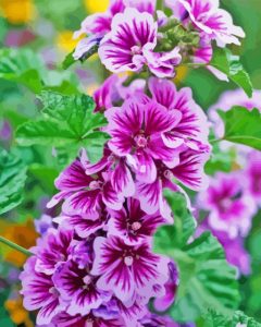 Purple Mallow Diamond Painting