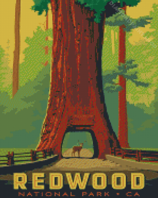 Redwood Forest Diamond Painting