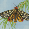 Tiger Moth Insect Diamond Painting