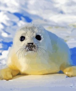 White Harp Seal Animal Diamond Painting