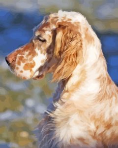 Caramel English Setter Diamond Painting