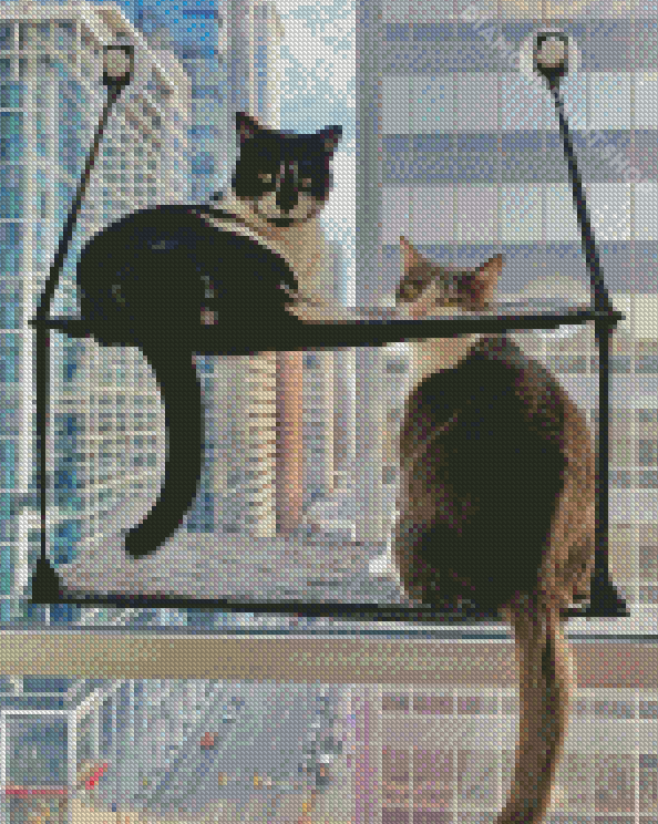 Cats By Window Diamond Painting