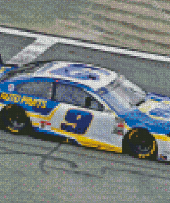 Chase Elliott Race Driver Car Diamond Painting