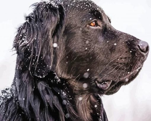 Close Up Black Golden Retriever In Snow Side View Diamond Painting