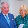 King Charles And Camilla Diamond Painting