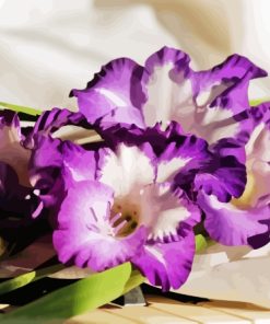 Purple Gladiolus Flowers Diamond Painting