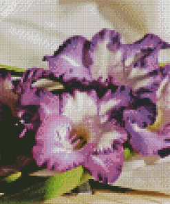 Purple Gladiolus Flowers Diamond Painting