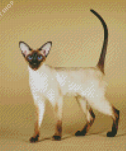 Siamese Oriental Cat Diamond Painting