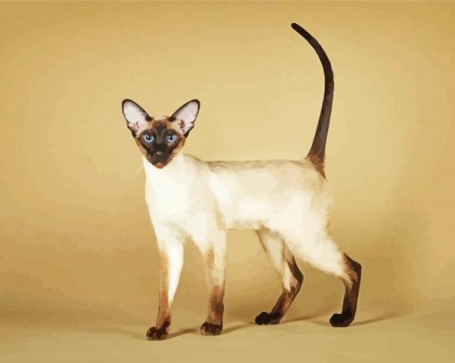 Siamese Oriental Cat Diamond Painting