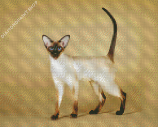 Siamese Oriental Cat Diamond Painting