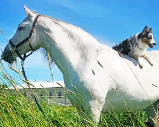 White Horse With Mini Aussie Dog Diamond Painting