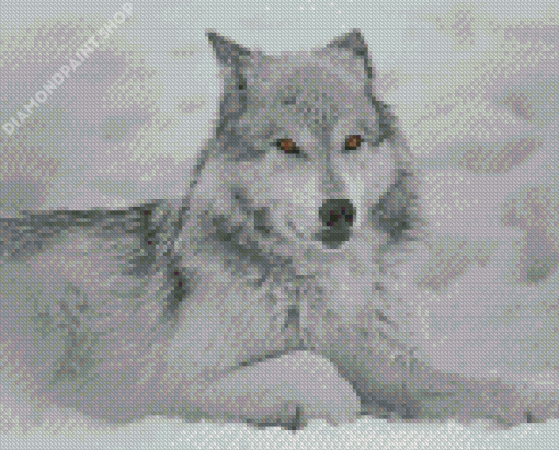 White And Grey Wolf Diamond Painting