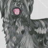 Dog Skye Terrier Art Diamond Painting
