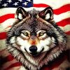 Grey Wolf And American Flag Diamond Painting