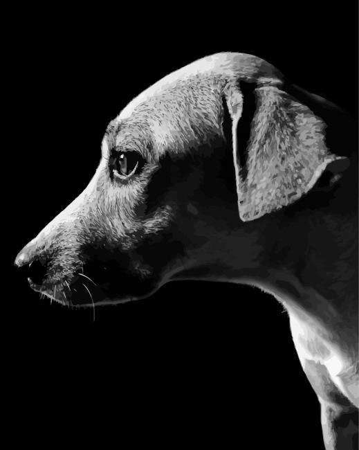 Lurcher Monochrome Dog Diamond Painting
