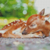 Sleepy Resting Deer Diamond Painting