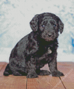 Black Goldendoodle Puppy Diamond Painting