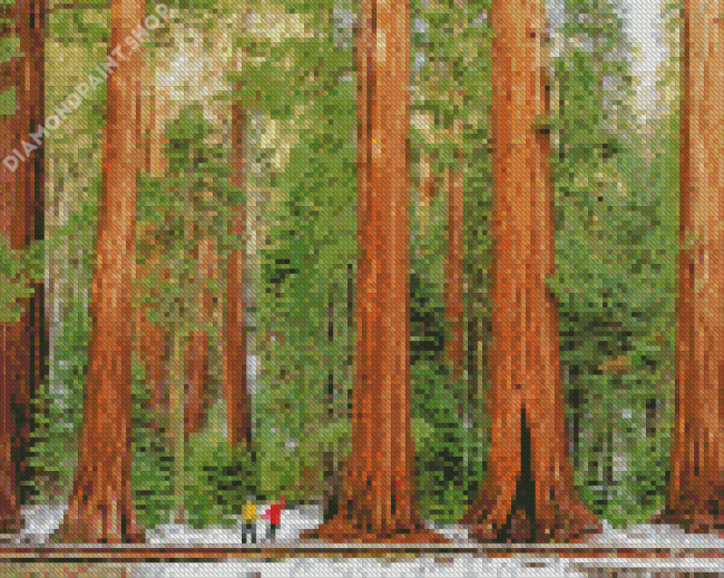 Sequoia National Forest Diamond Painting