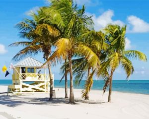 Biscayne Landscape Diamond Painting