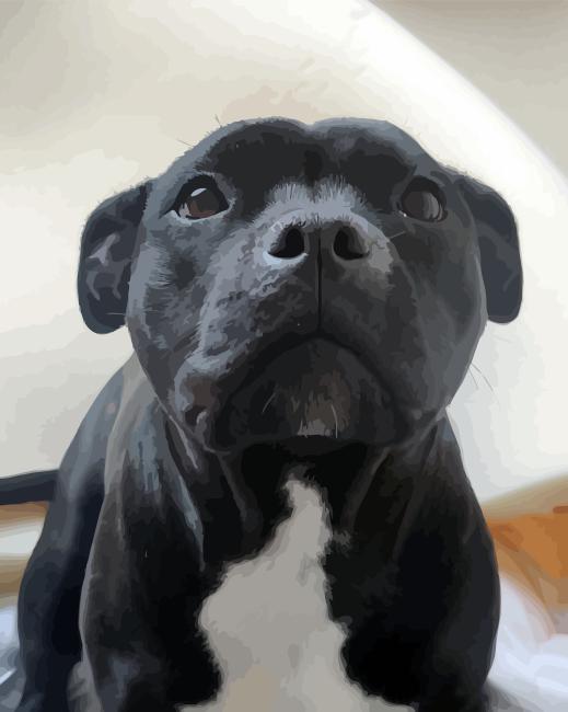 Cute Black Staff Bull Terrier Diamond Painting