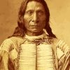 The Indian Chief Red Cloud Diamond Painting