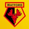 Watford FC Diamond Painting