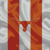 Texas Longhorn Flag Diamond Painting