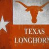 Texas Longhorn Flag Art Diamond Painting