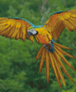 Flying Macaw Diamond Painting