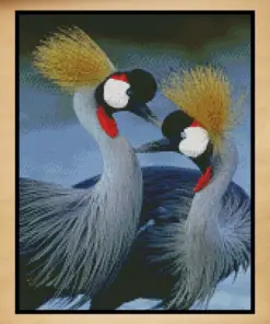 Birds