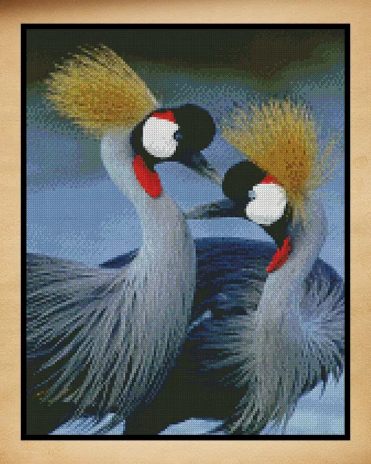 Birds