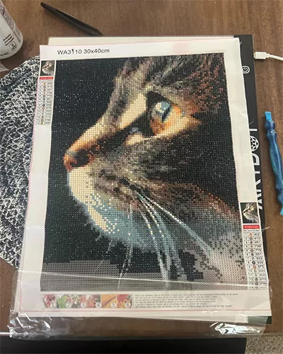 Custom cat portrait diamond painting