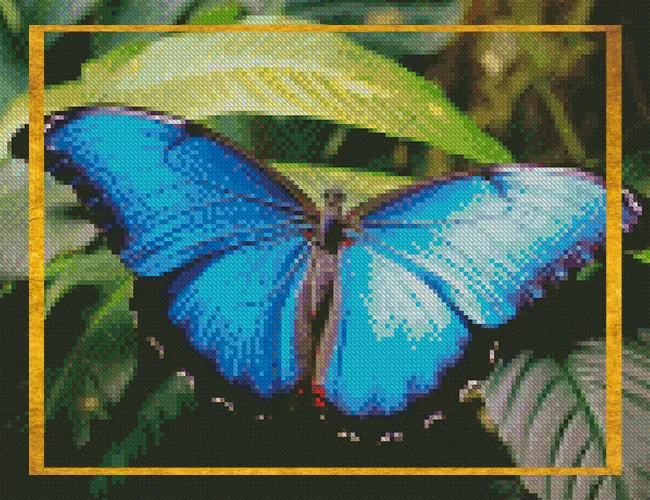 Diamond painting insect kits — butterflies, dragonflies and bees