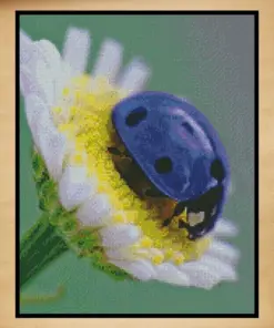Insects